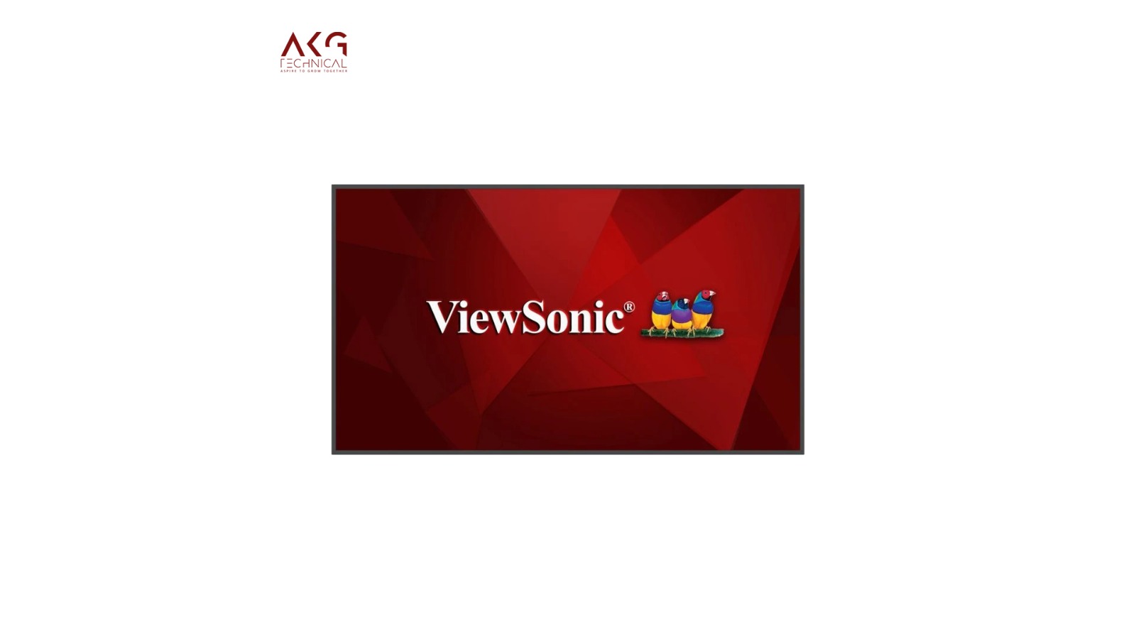 Viewsonic Display CN5501-1N